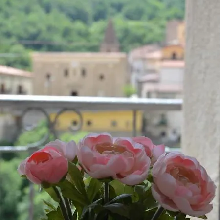 Il Nido Dei Sogni
