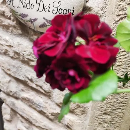 Bed & Breakfast Il Nido Dei Sogni *